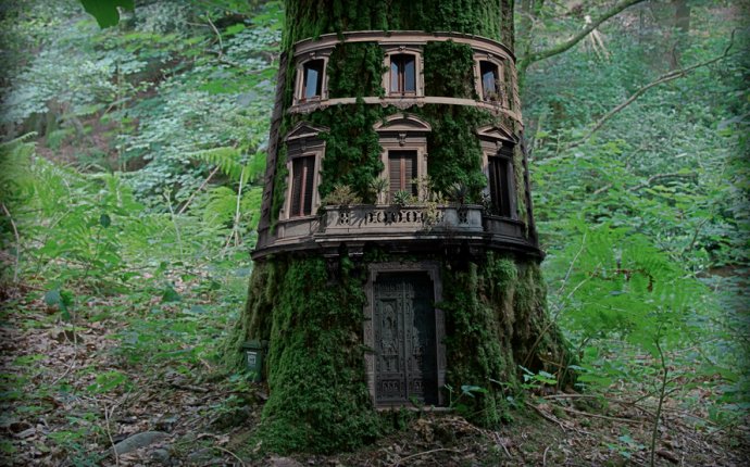 1+ images about Tree House on Pinterest | British columbia